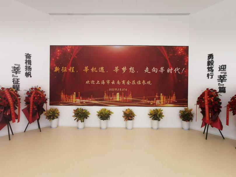 三思,智慧顯示,助力臨港,莘?？萍紙@,人才體系建設